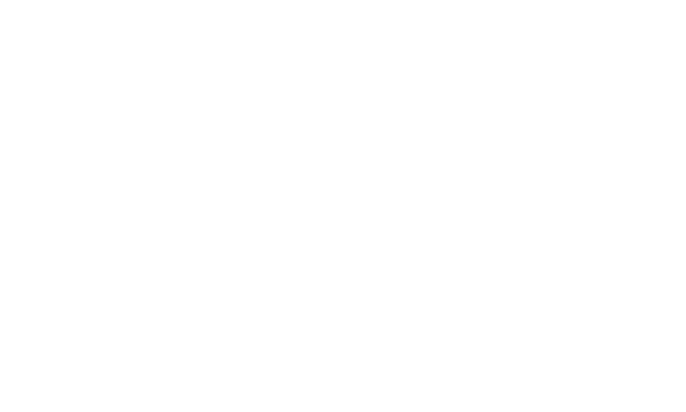 Armor All